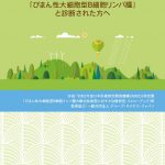 冊子「びまん性大細胞型B細胞リンパ腫と診断された方へ」